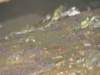 dsc02373_small.jpg