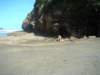 dsc02380_small.jpg