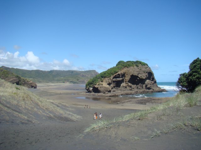 dsc02384.jpg