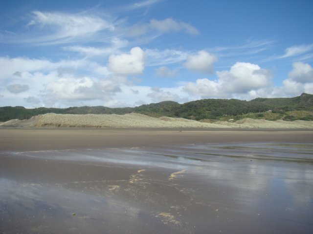 dsc02461.jpg