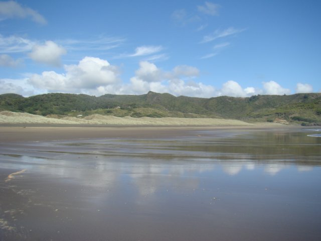 dsc02462.jpg