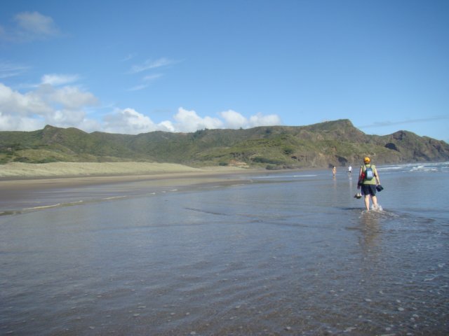 dsc02466.jpg