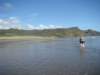 dsc02466_small.jpg