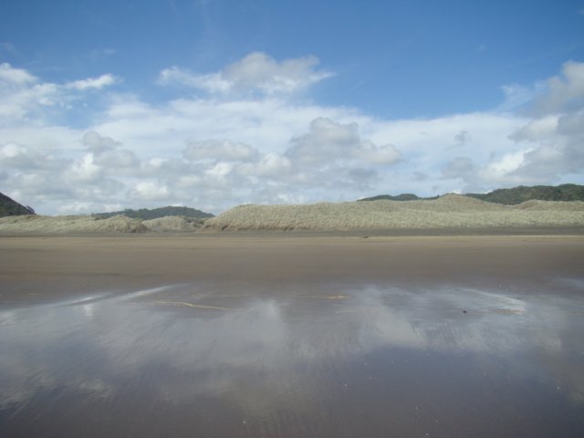 dsc02469.jpg