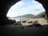 dsc02476_small.jpg