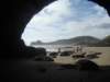 dsc02477_small.jpg