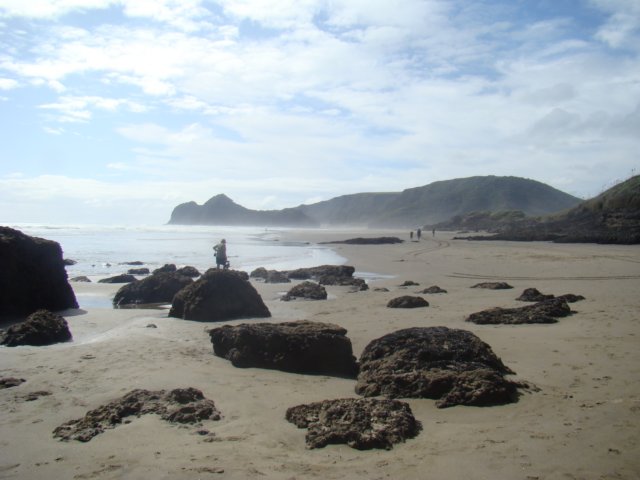 dsc02479.jpg