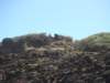 dsc03254_small.jpg