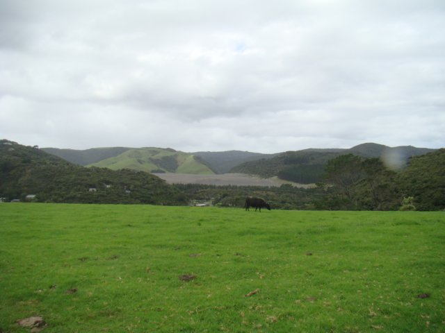 dsc03159.jpg
