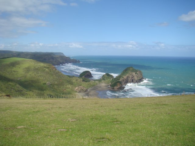 dsc03165.jpg