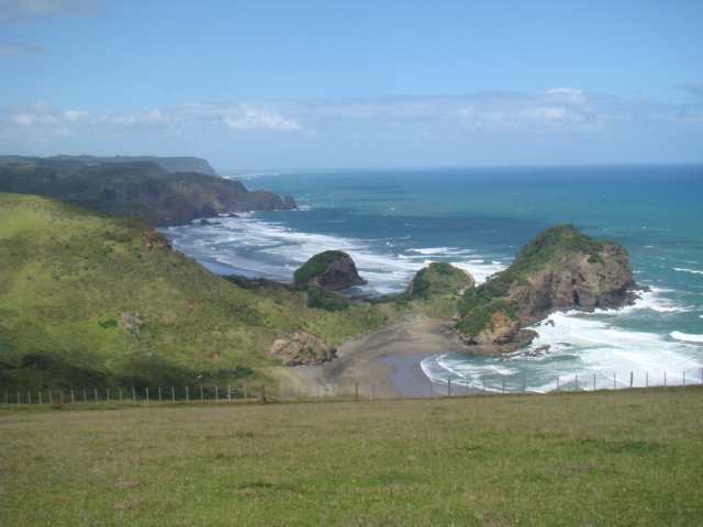dsc03167.jpg