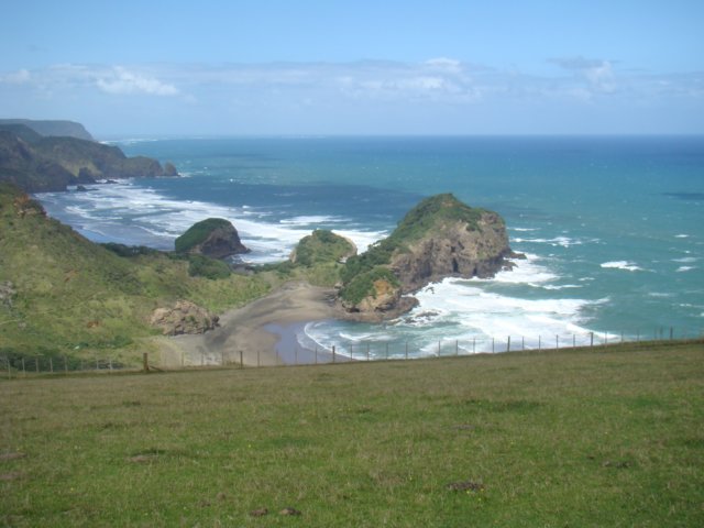 dsc03169.jpg