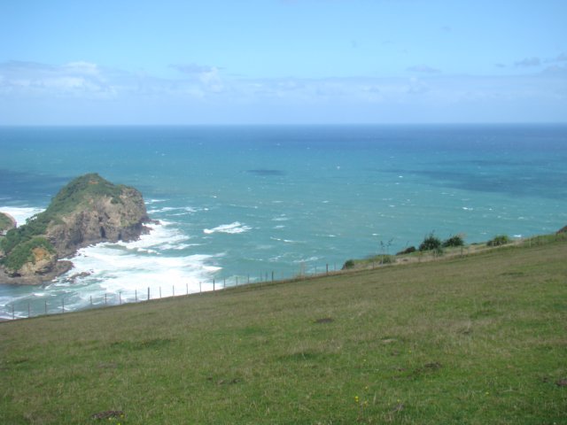 dsc03171.jpg