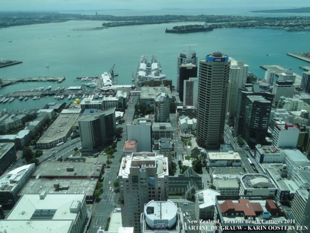 dsc00490.jpg
