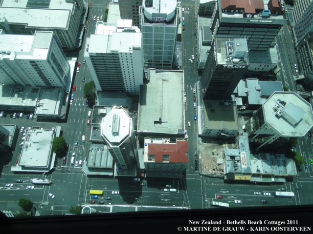 dsc00491.jpg