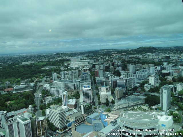 dsc00504.jpg