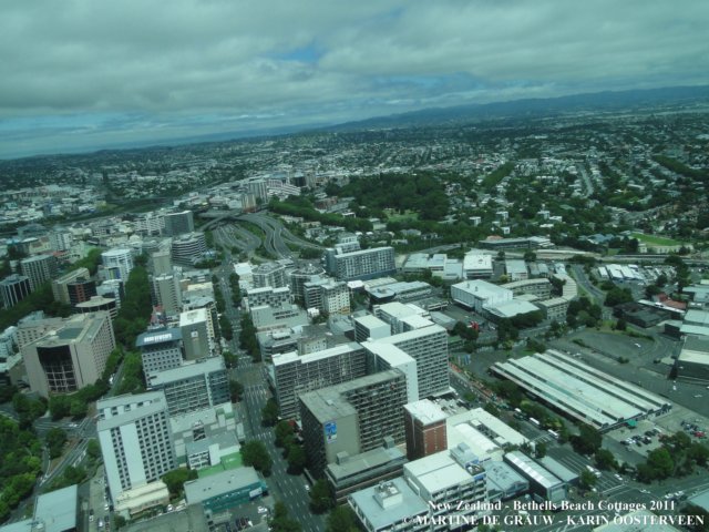 dsc00507.jpg