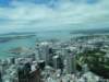 dsc00524_small.jpg