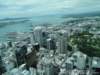 dsc00525_small.jpg