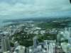 dsc00528_small.jpg