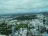 dsc00533_small.jpg