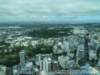 dsc00536_small.jpg
