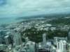 dsc00541_small.jpg