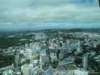 dsc00543_small.jpg