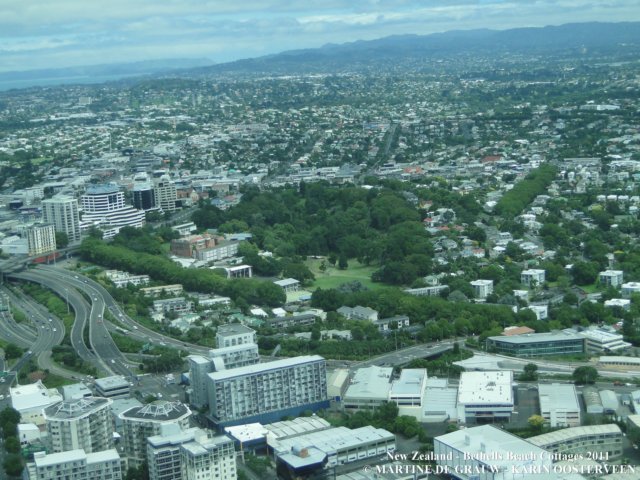 dsc00553.jpg