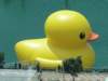 dsc00567_small.jpg