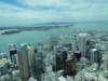 dsc00585_small.jpg