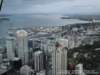 dsc00652_small.jpg