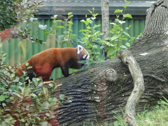 dsc00055.jpg