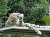 dsc00070_small.jpg