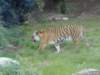 dsc00073_small.jpg