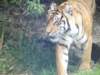 dsc00075_small.jpg