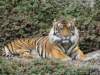 dsc00077_small.jpg