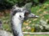dsc00081_small.jpg