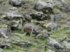 dsc00082_small.jpg