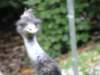 dsc00083_small.jpg