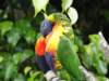 dsc00084_small.jpg