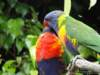 dsc00085_small.jpg