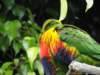 dsc00086_small.jpg