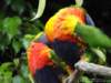 dsc00087_small.jpg