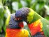 dsc00088_small.jpg