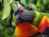 dsc00090_small.jpg