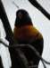 dsc00091_small.jpg