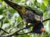 dsc00093_small.jpg