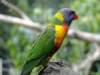 dsc00094_small.jpg