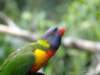 dsc00095_small.jpg
